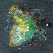 Steve Fisk - 999 Levels Of Undo - Used CD
