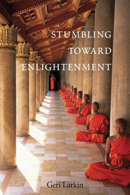 Larkin - Stumbling Toward Enlightenment - New paperback or softback
