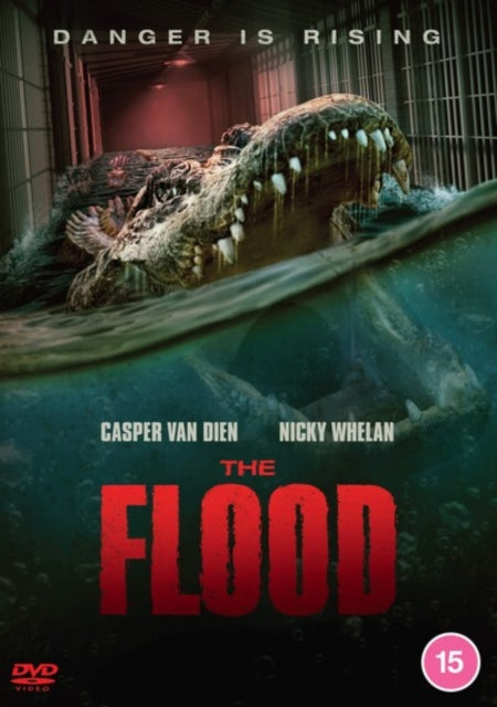 Flood - DVD
