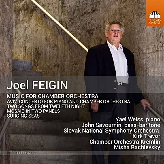 VARIOUS - MUSIC FOR CHAMBER ORCH - cd