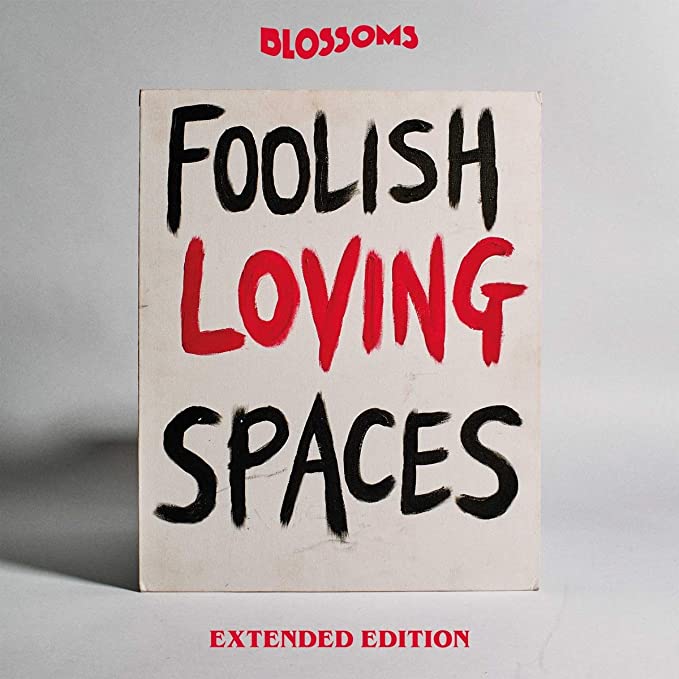 Blossoms - Foolish Loving Spaces - New COMPACT DISC SET