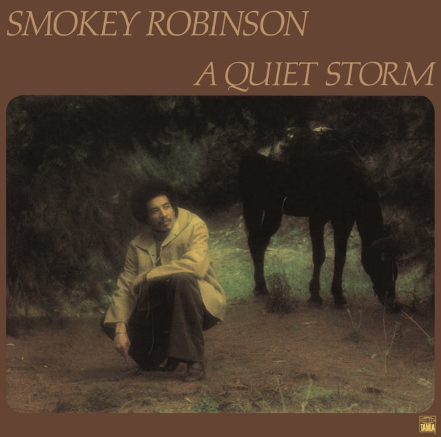 SMOKEY ROBINSON - A Quiet Storm - Vinyl Record
