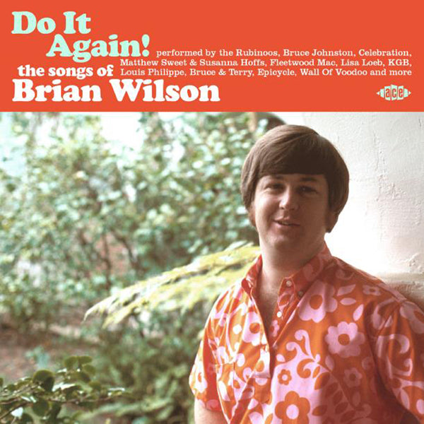 VARIOUS ARTISTS - Do It Again! The Songs Of Brian Wilson - CD