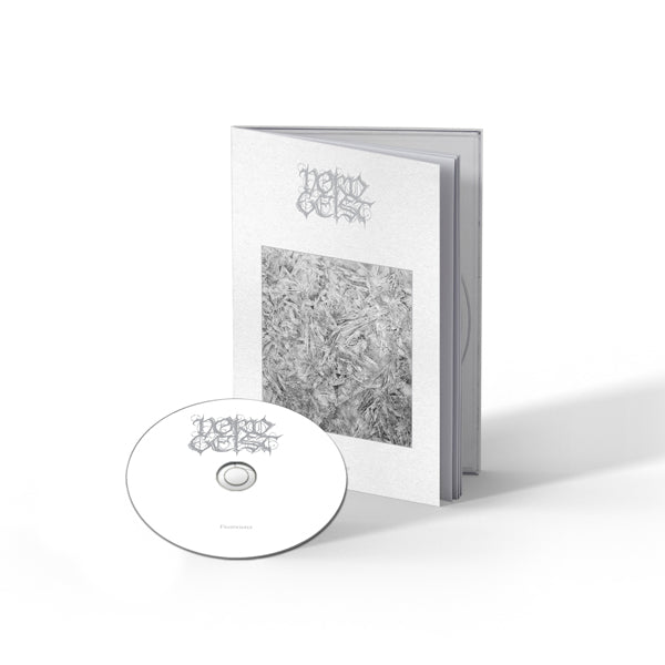 FROSTWINTER (DVD STYLE BOX) - CDD