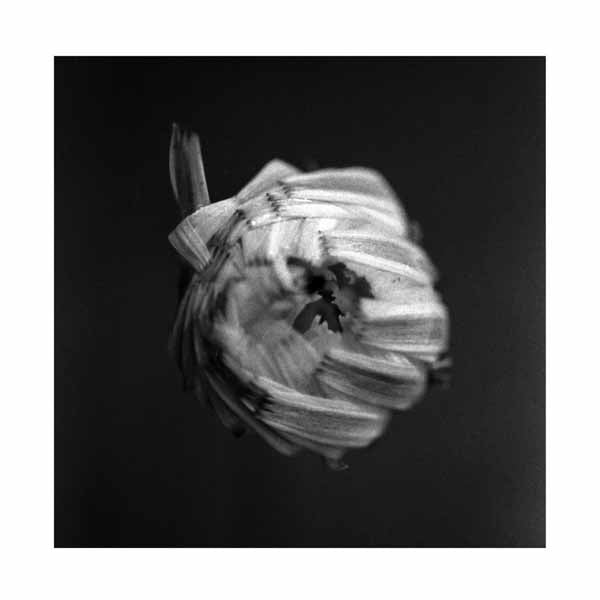 A SWARM OF THE SUN - AN EMPIRE - CD