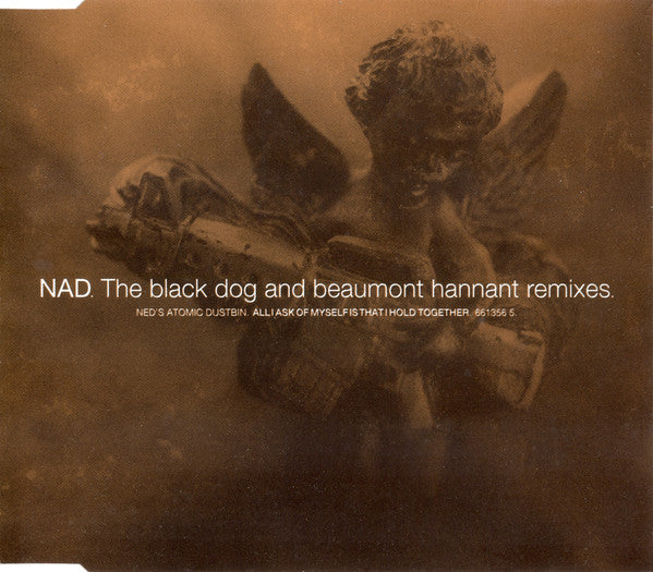 Ned's Atomic Dustbin - Black Dog And Beaumont Hannant Remixes (All I