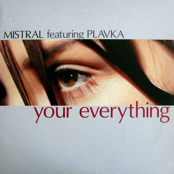 Mistral - Your Everything - Used Vinyl Record 12"