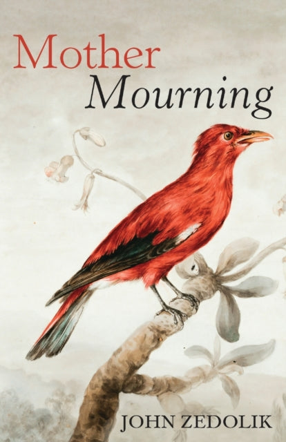 Zedolik - Mother Mourning - New paperback or softback