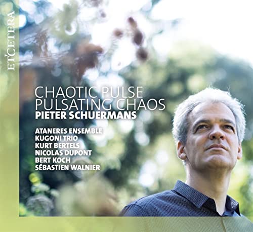 Chaotic Pulse - Pulsating Chaos - CD