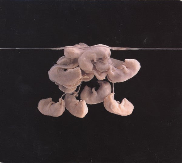 Scheer - Wish You Were Dead - Used CD