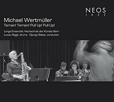 LARGE ENSEMBLE - TERRAIN!TERRAIN!PULL UP! - CD