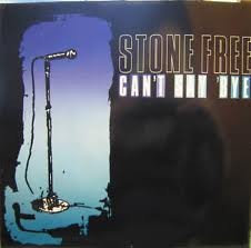 Stone Free - Can't Say Bye - Used Vinyl Record 12"