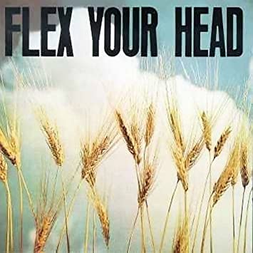 V/A INDIE ROCK - FLEX YOUR HEAD - Vinyl Record