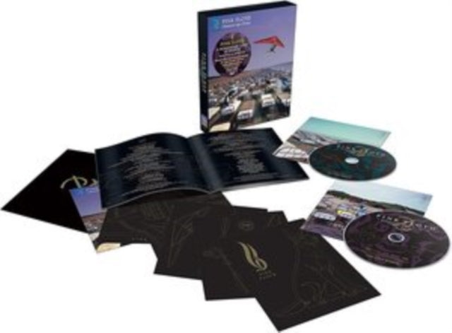 Pink Floyd - A Momentary Lapse Of Reason - DVD