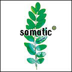 Somatic - New Body - Used CD