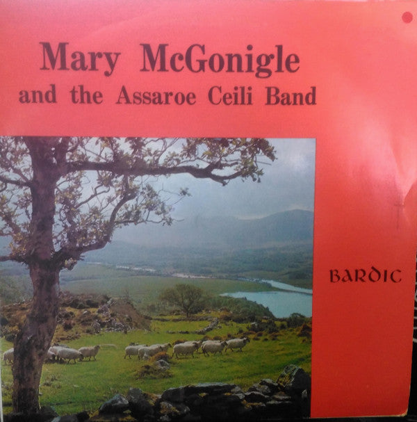 Mary McGonigl - And - Used Vinyl Record