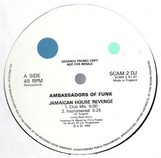 Ambassadors Of Funk - Jamaican House Revenge - Used Vinyl Rec