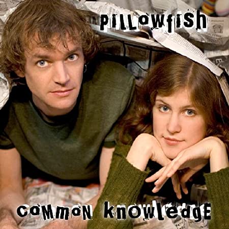 PILLOWFISH - COMMON KNOWLEDGE - CD