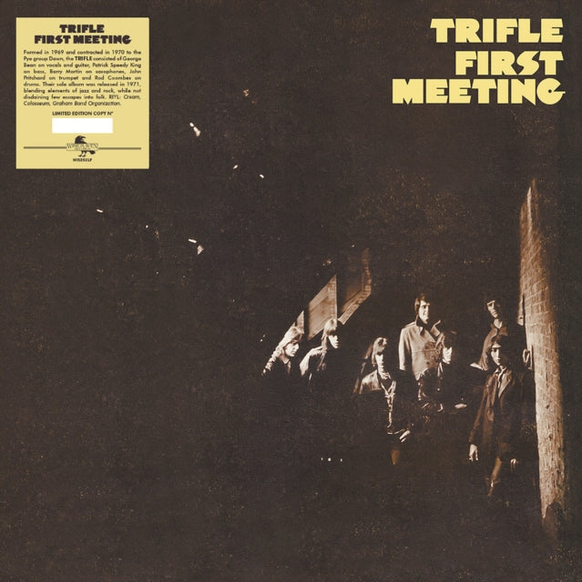 TRIFLE - FIRST MEETING - Vinyl Record