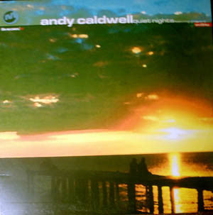 Andy Caldwell - Quiet Nights - Used Vinyl Record 12"