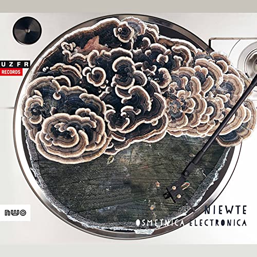 Osmetnica Electronica Niewte - CD