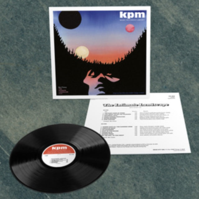 CHASNY - INTIMATE LANDSCAPE - Vinyl Record