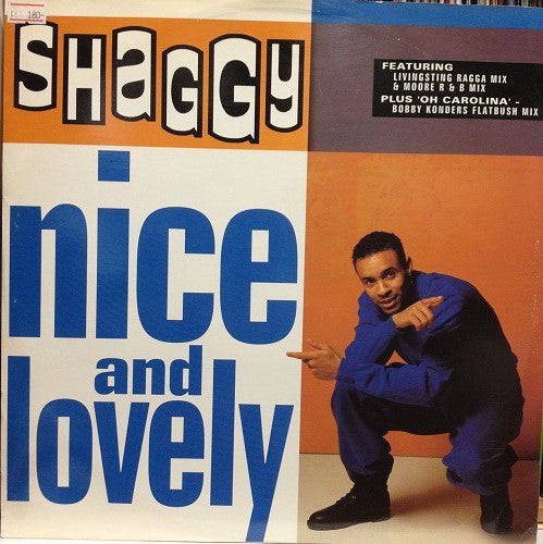 Shaggy - Nice And Lovely - Used Vinyl Record 12"