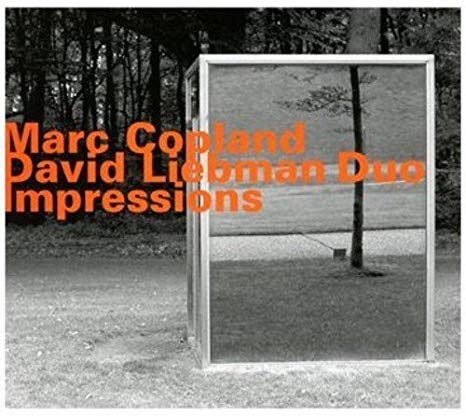 David Liebman-Marc C - Impressions - CD