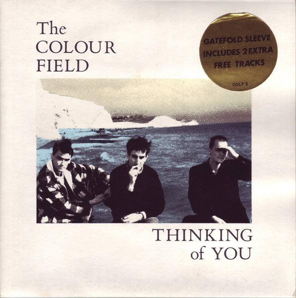 Colourfield - Thinking Of You - Used Vinyl Record 7"