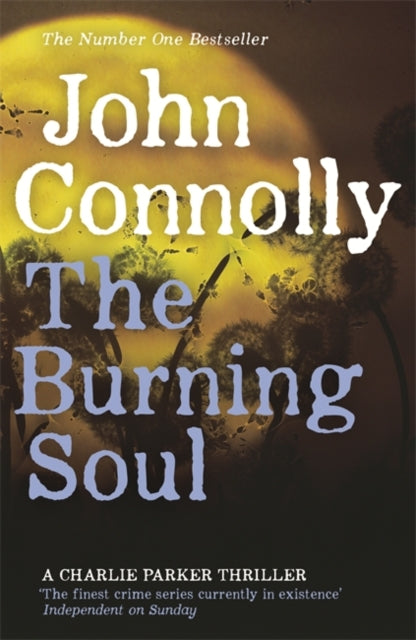 John Connolly - Burning Soul : A Charlie Parker Thriller: 10 - Paperba