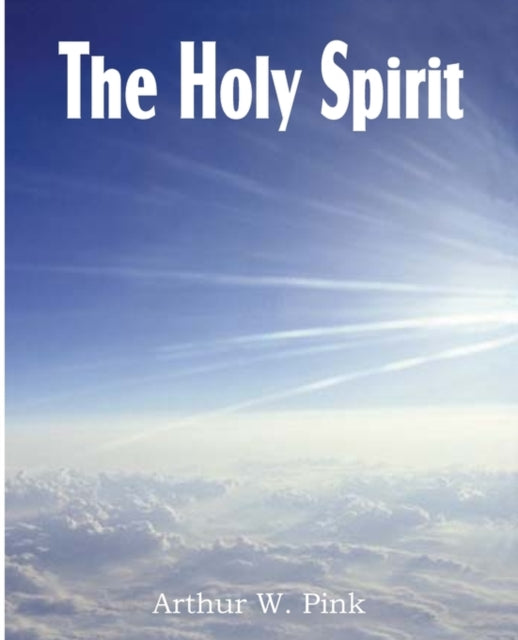 Pink - Holy Spirit - New paperback or softback