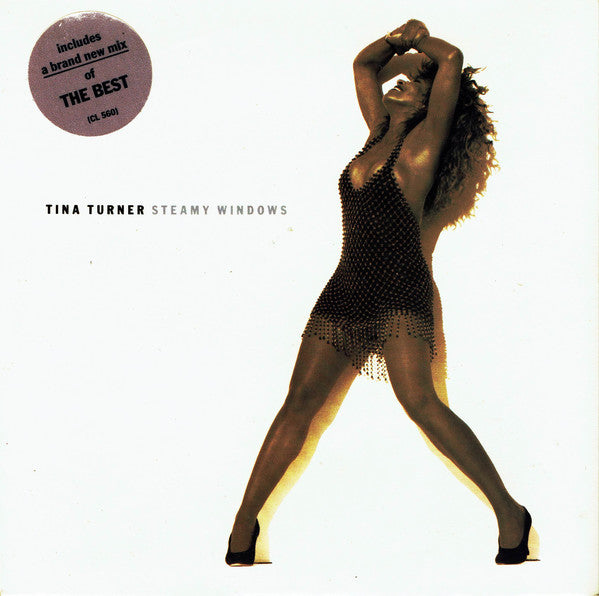 Tina Turner - Steamy Windows - Used Vinyl Record 7"