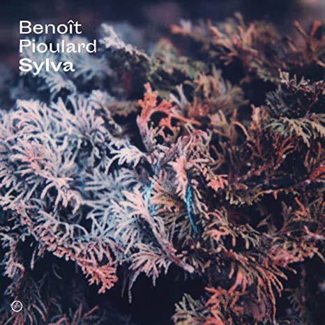 PIOULARD BENOIT - SYLVA - CD
