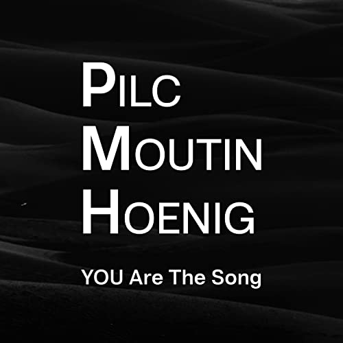 Pilc/Moutin/Hoenig - You are the song - CD