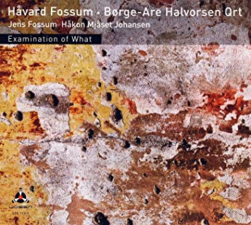 Havard Fossum • Bo - Examination Of What - CD