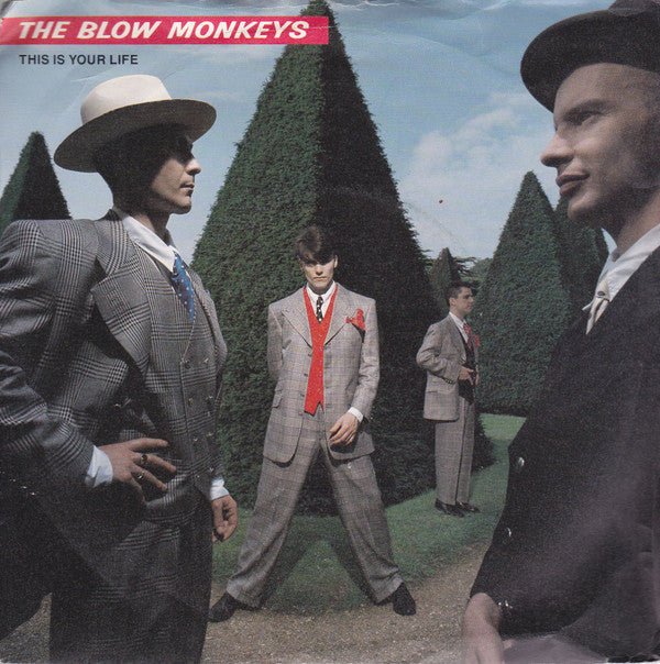 Blow Monkeys - This Is Your Life - Used Vinyl Record 7"
