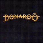 Bonaroo - Used Vinyl Record