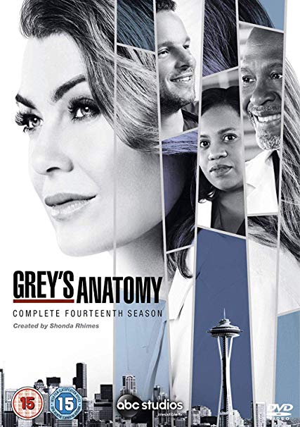 Grey's Anatomy: Complete Fourteenth Season - DVD