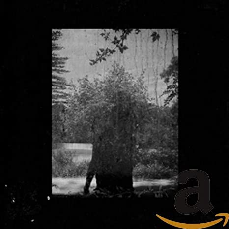 Grouper - Ruins - CD