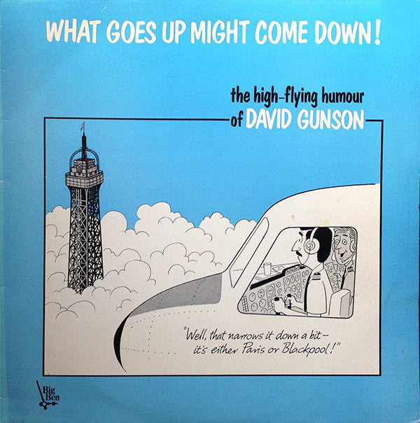 David Gunson - What Goes Up Might Come Down! - Used Vinyl Record