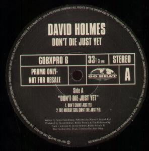 David Holmes - Don't Die Just Yet - Used Vinyl Record 12"