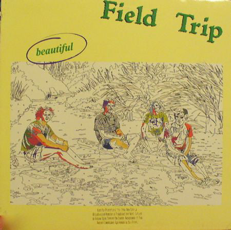 Field Trip - Beautiful - Used Vinyl Record