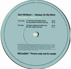 Sam Mollison - Always On My Mind - Used Vinyl Record 12"