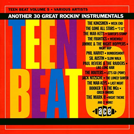 VARIOUS ARTISTS - TEEN BEAT VOL 5 - CD