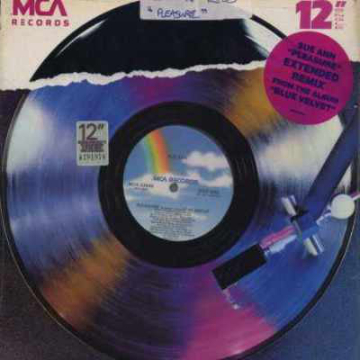 Sue Ann Carwell - Pleasure (Extended Remix) - Used Vinyl Record 12"