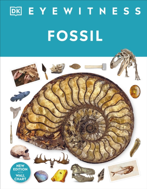 DK - Fossil - Hardback