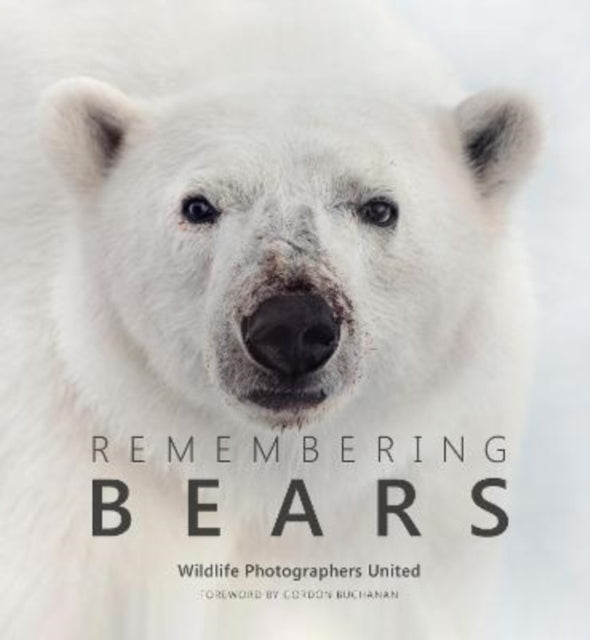 Remembering Bears - Hardback