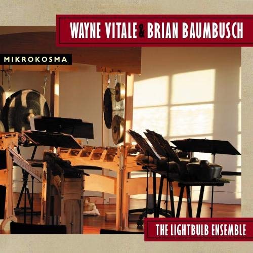 Wayne Vitale - Mikrokosma - CD