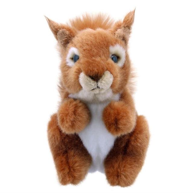 Squirrel (Red) Soft Toy - Paperback