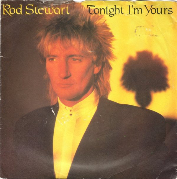 Rod Stewart - Tonight I'm Yours - Used Vinyl Record 7"